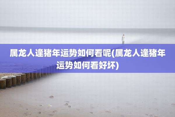 属龙人逢猪年运势如何看呢(属龙人逢猪年运势如何看好坏)