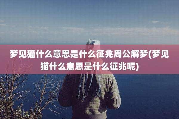 梦见猫什么意思是什么征兆周公解梦(梦见猫什么意思是什么征兆呢)