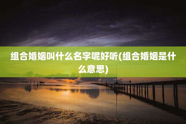 组合婚姻叫什么名字呢好听(组合婚姻是什么意思)