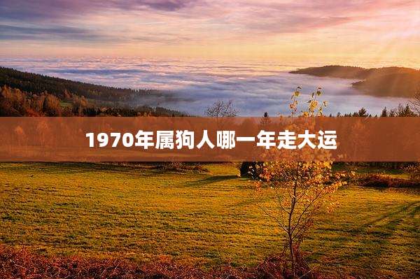 1970年属狗人哪一年走大运