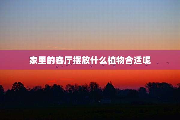 家里的客厅摆放什么植物合适呢