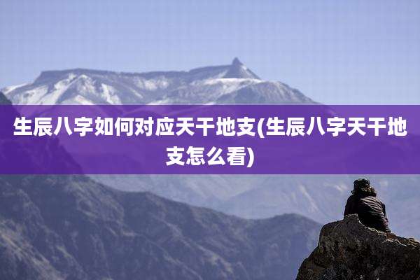 生辰八字如何对应天干地支(生辰八字天干地支怎么看)