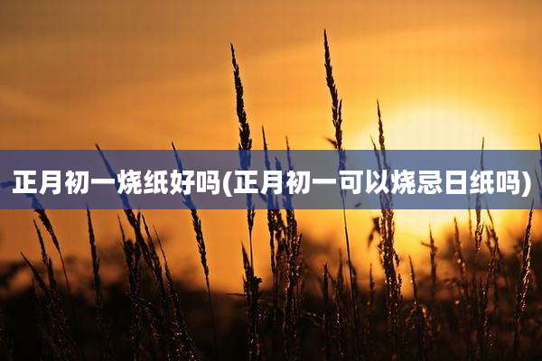 正月初一烧纸好吗(正月初一可以烧忌日纸吗)