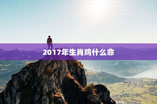 2017年生肖鸡什么命