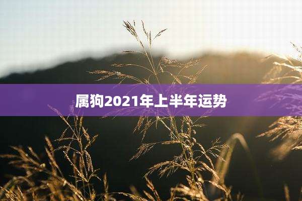 属狗2021年上半年运势