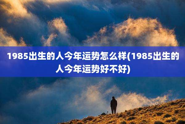 1985出生的人今年运势怎么样(1985出生的人今年运势好不好)