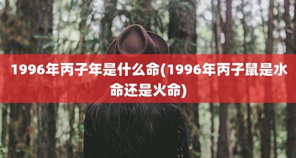 1996年丙子年是什么命(1996年丙子鼠是水命还是火命)