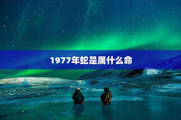 1977年蛇是属什么命