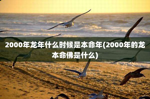 2000年龙年什么时候是本命年(2000年的龙本命佛是什么)
