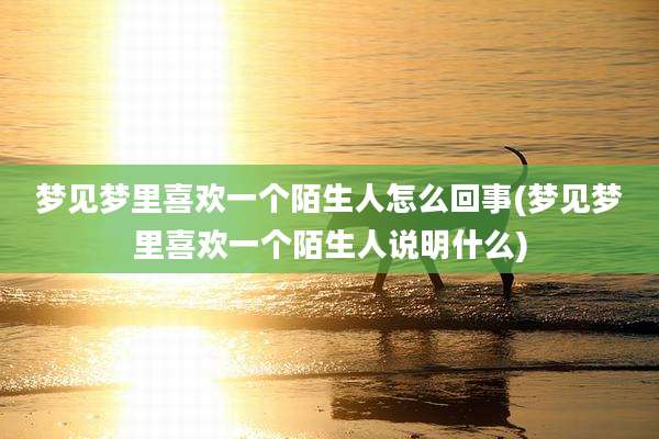 梦见梦里喜欢一个陌生人怎么回事(梦见梦里喜欢一个陌生人说明什么)