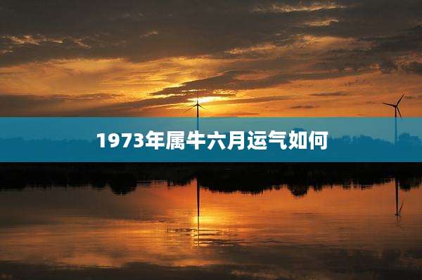 1973年属牛六月运气如何