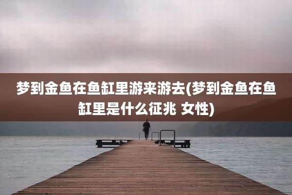梦到金鱼在鱼缸里游来游去(梦到金鱼在鱼缸里是什么征兆 女性)