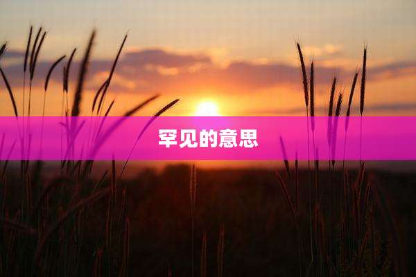 罕见的意思