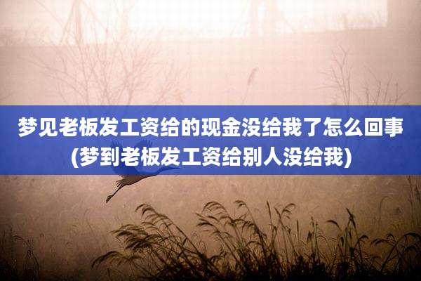 梦见老板发工资给的现金没给我了怎么回事(梦到老板发工资给别人没给我)