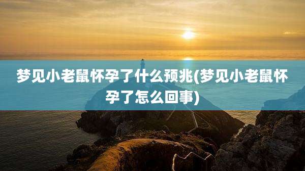 梦见小老鼠怀孕了什么预兆(梦见小老鼠怀孕了怎么回事)