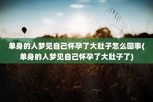 单身的人梦见自己怀孕了大肚子怎么回事(单身的人梦见自己怀孕了大肚子了)