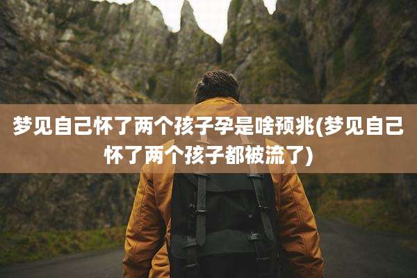 梦见自己怀了两个孩子孕是啥预兆(梦见自己怀了两个孩子都被流了)