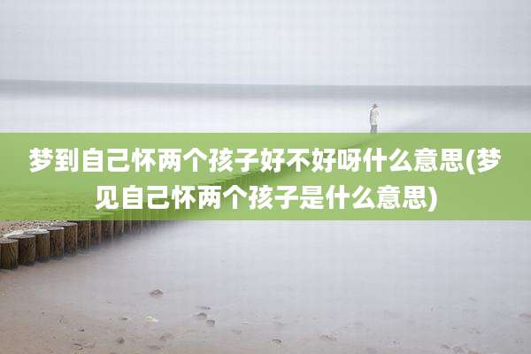 梦到自己怀两个孩子好不好呀什么意思(梦见自己怀两个孩子是什么意思)