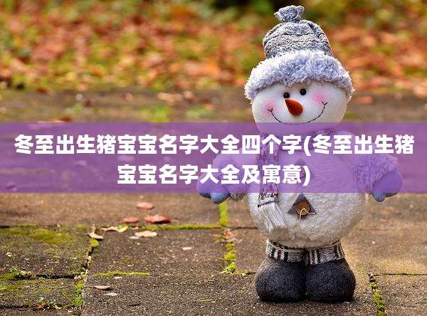 冬至出生猪宝宝名字大全四个字(冬至出生猪宝宝名字大全及寓意)