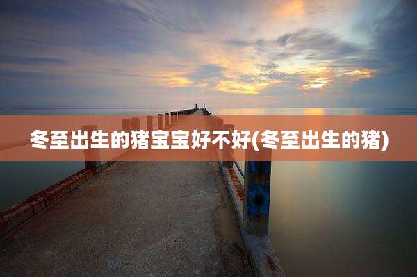 冬至出生的猪宝宝好不好(冬至出生的猪)
