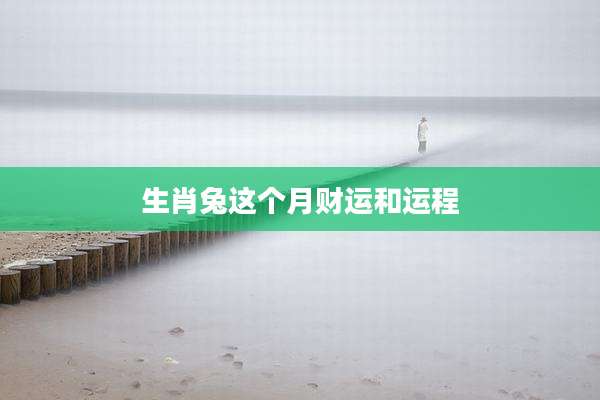 生肖兔这个月财运和运程
