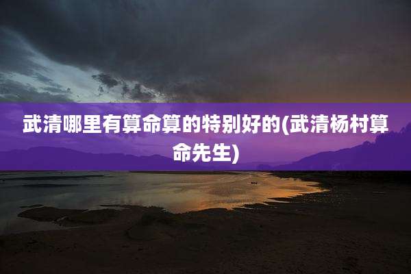 武清哪里有算命算的特别好的(武清杨村算命先生)