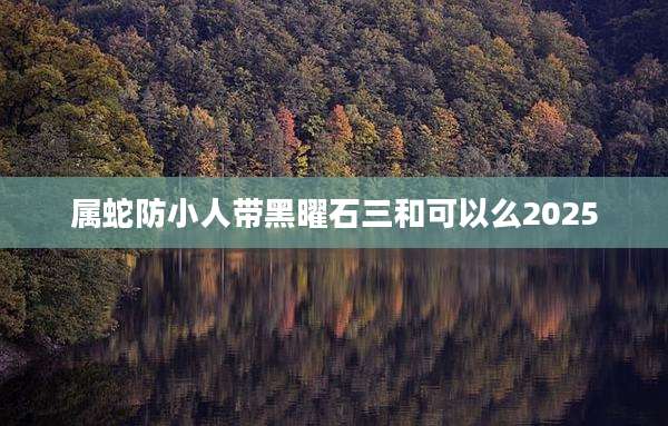 属蛇防小人带黑曜石三和可以么2025