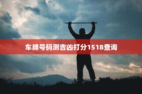 车牌号码测吉凶打分1518查询