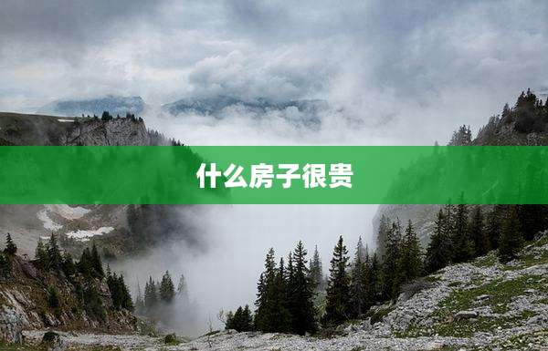 什么房子很贵