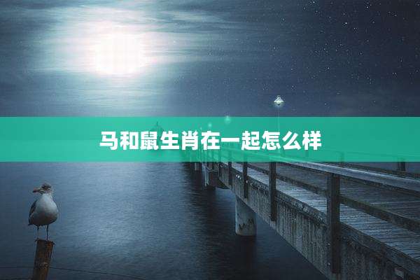 马和鼠生肖在一起怎么样