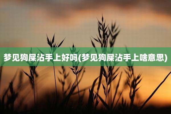 梦见狗屎沾手上好吗(梦见狗屎沾手上啥意思)