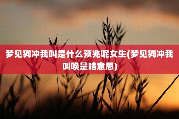 梦见狗冲我叫是什么预兆呢女生(梦见狗冲我叫唤是啥意思)