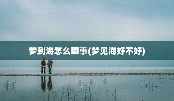梦到海怎么回事(梦见海好不好)