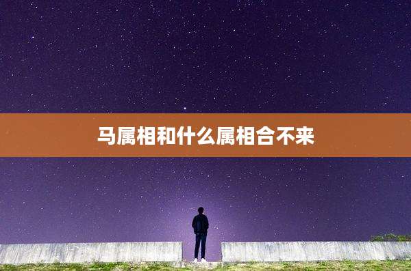 马属相和什么属相合不来