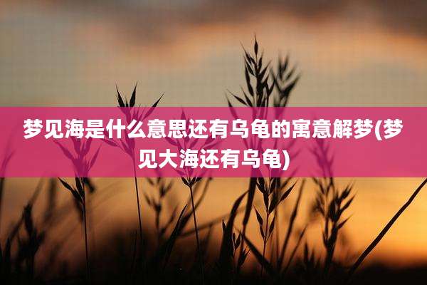 梦见海是什么意思还有乌龟的寓意解梦(梦见大海还有乌龟)