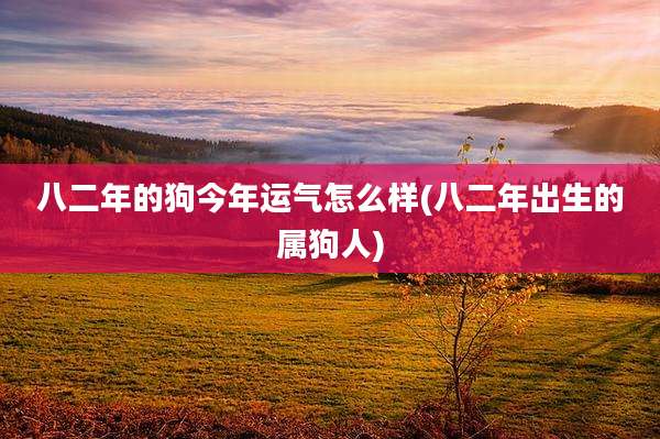八二年的狗今年运气怎么样(八二年出生的属狗人)