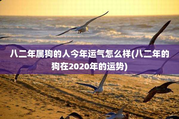 八二年属狗的人今年运气怎么样(八二年的狗在2020年的运势)
