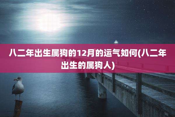 八二年出生属狗的12月的运气如何(八二年出生的属狗人)