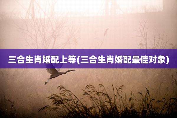 三合生肖婚配上等(三合生肖婚配最佳对象)