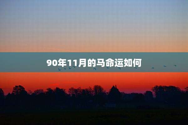90年11月的马命运如何