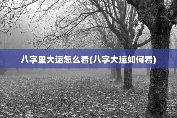 八字里大运怎么看(八字大运如何看)