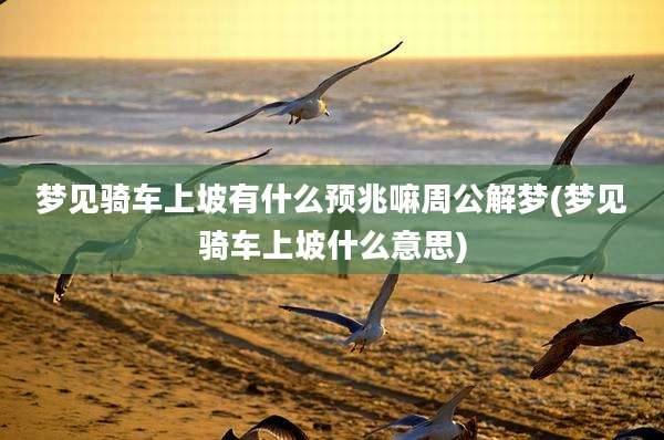 梦见骑车上坡有什么预兆嘛周公解梦(梦见骑车上坡什么意思)