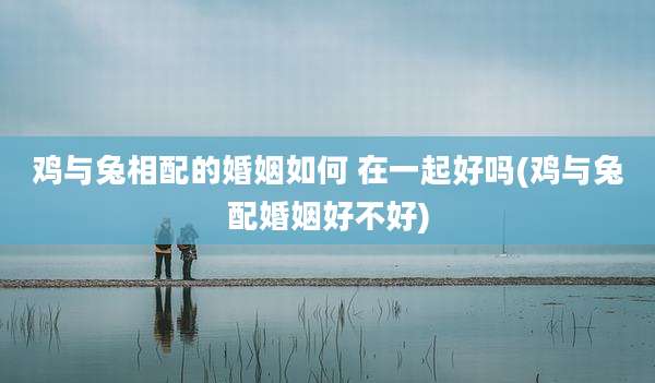 鸡与兔相配的婚姻如何 在一起好吗(鸡与兔配婚姻好不好)