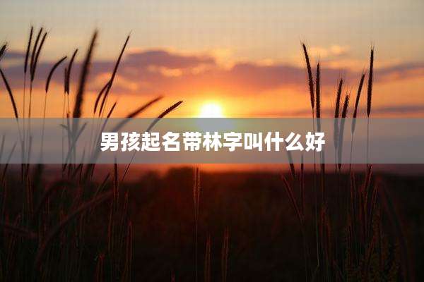 男孩起名带林字叫什么好