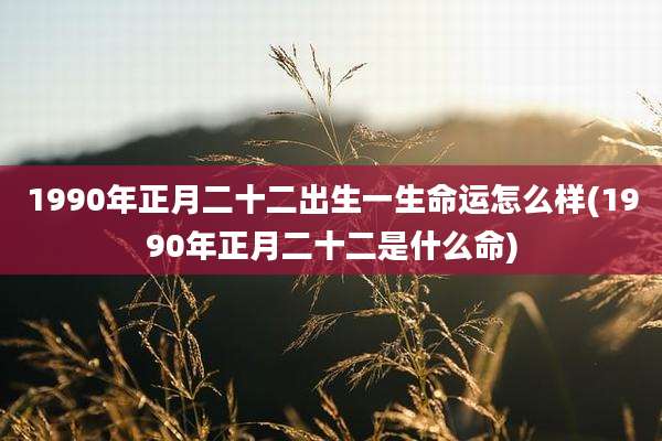 1990年正月二十二出生一生命运怎么样(1990年正月二十二是什么命)