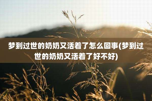 梦到过世的奶奶又活着了怎么回事(梦到过世的奶奶又活着了好不好)