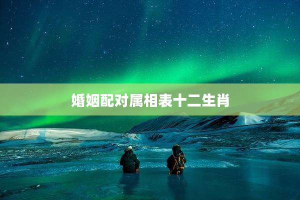 婚姻配对属相表十二生肖