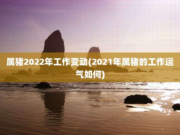 属猪2022年工作变动(2021年属猪的工作运气如何)