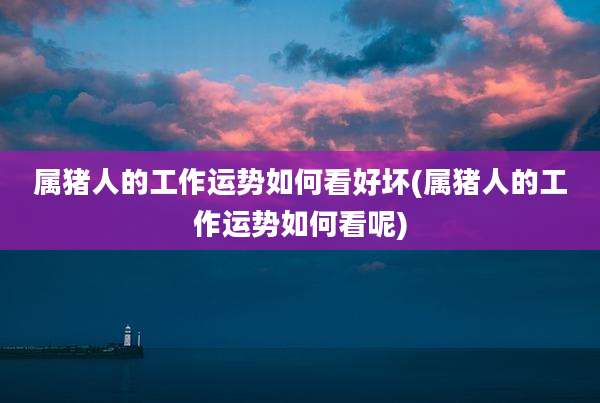 属猪人的工作运势如何看好坏(属猪人的工作运势如何看呢)