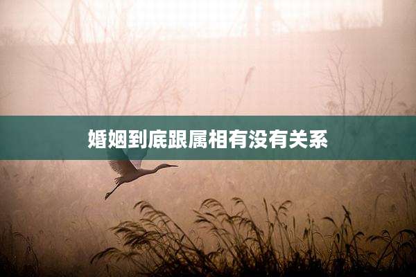 婚姻到底跟属相有没有关系